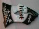 00-02 Black West Ninja Kawasaki ZX6R Motorcycle Fairings 00-02 Black West Ninja Kawasaki ZX6R Motorcycle Fairings