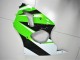 00-02 Green White Black Kawasaki ZX6R Motorcycle Fairings 00-02 Green White Black Kawasaki ZX6R Motorcycle Fairings