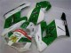 04-05 Green White Honda CBR1000RR Motorcycle Fairings