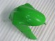 05-06 Green Kawasaki ZX6R Motorcycle Fairing 05-06 Green Kawasaki ZX6R Motorcycle Fairing