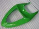 05-06 Green Kawasaki ZX6R Motorcycle Fairing 05-06 Green Kawasaki ZX6R Motorcycle Fairing
