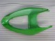 05-06 Green Kawasaki ZX6R Motorcycle Fairing 05-06 Green Kawasaki ZX6R Motorcycle Fairing