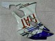 06-07 White Blue Yamaha YZF R6 Motorcycle Fairings 06-07 White Blue Yamaha YZF R6 Motorcycle Fairings