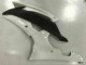 08-16 White Yamaha YZF R6 Motorcycle Fairings 08-16 White Yamaha YZF R6 Motorcycle Fairings