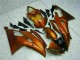 08-16 Orange Yamaha YZF R6 Motorcycle Fairing 08-16 Orange Yamaha YZF R6 Motorcycle Fairing